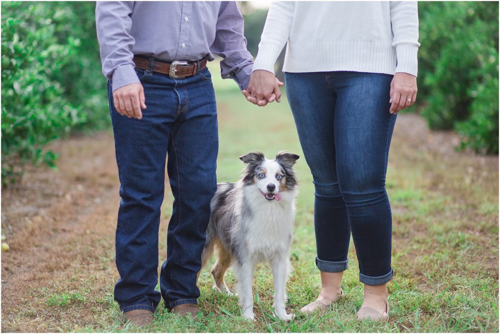 Engagement session with puppy in Central Florida.
