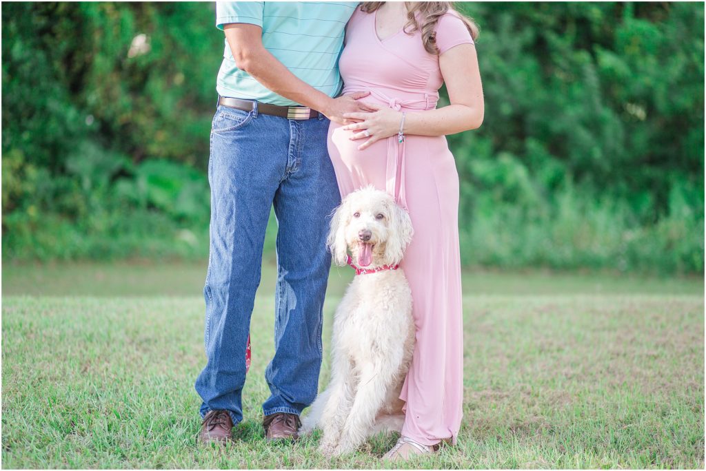 Baby girl maternity session with family dog.