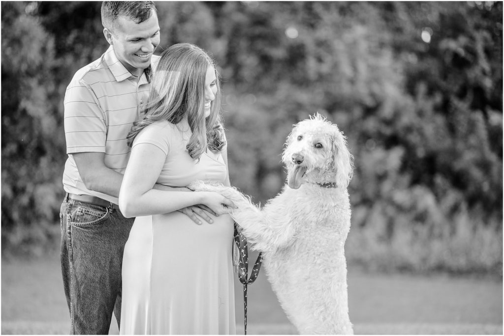 Baby girl maternity session with family dog.